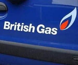 British Gas has cut the cost of electricity by five per cent today