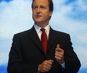 David Cameron is considering other options rather than the flat rate state pension