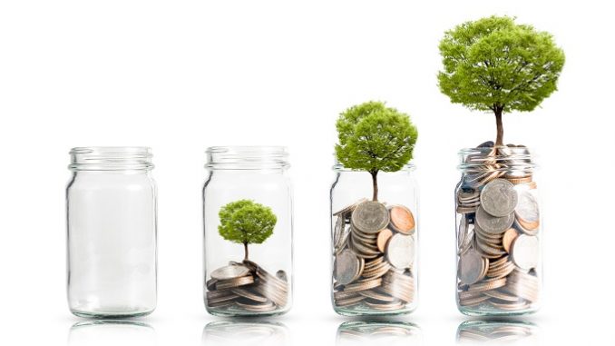 Money coins and tree growing in jar. Profit on deposit in bank and dividend for stock investment concept.