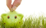 Ethical investment options are increasingly popular