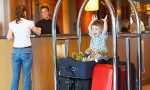 Travel insurance is necessary for a UK holiday too