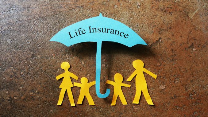 Life Insurance paper family