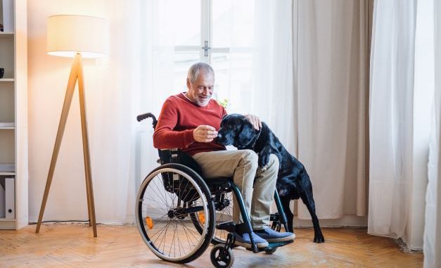 man in wheelchair