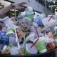A new report shows the scale of food waste in the UK