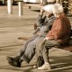 Are you saving for a pension?
