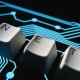 Companies that offer government services for a fee are to be investigated by the OFT