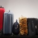 Many unaware of travel cover, poll reveals
