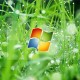 Online ad business hits Microsoft profits