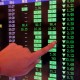 Shareholders are fightingback